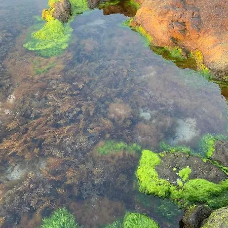 апартаменти-студия в комплекс нестинарка Tsarévo