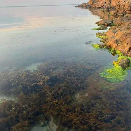 апартаменти-студия в комплекс нестинарка Appartement Tsarévo