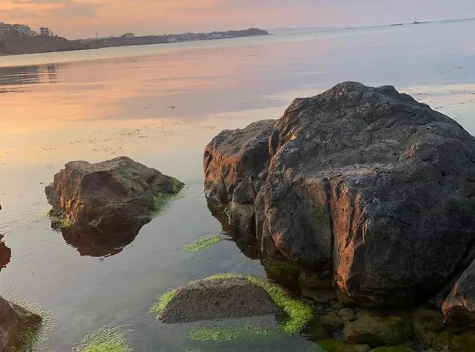 Apartment апартаменти-студия в комплекс нестинарка