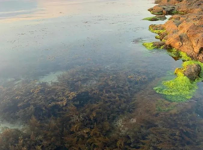 апартаменти-студия в комплекс нестинарка Apartment Zarewo